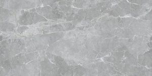 GRIS ENDLESS R161